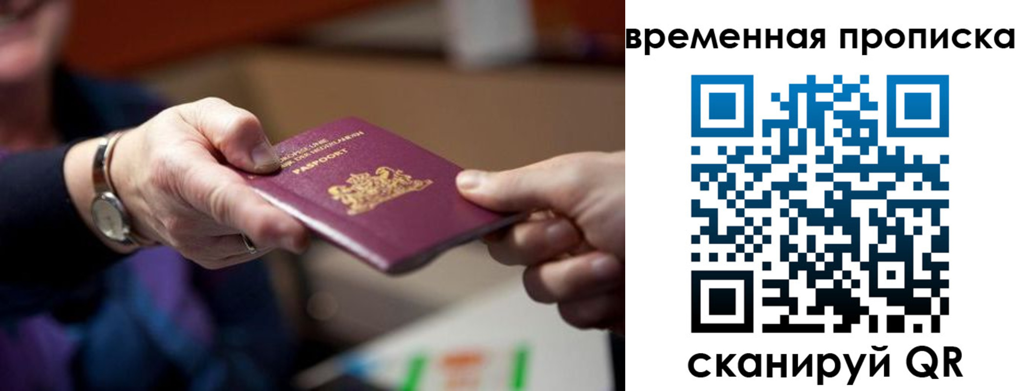 временная регистрация для всех в Алейске